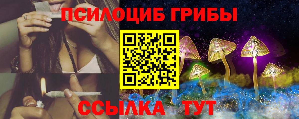 Псилоцибиновые грибы MAGIC MUSHROOMS Кандалакша